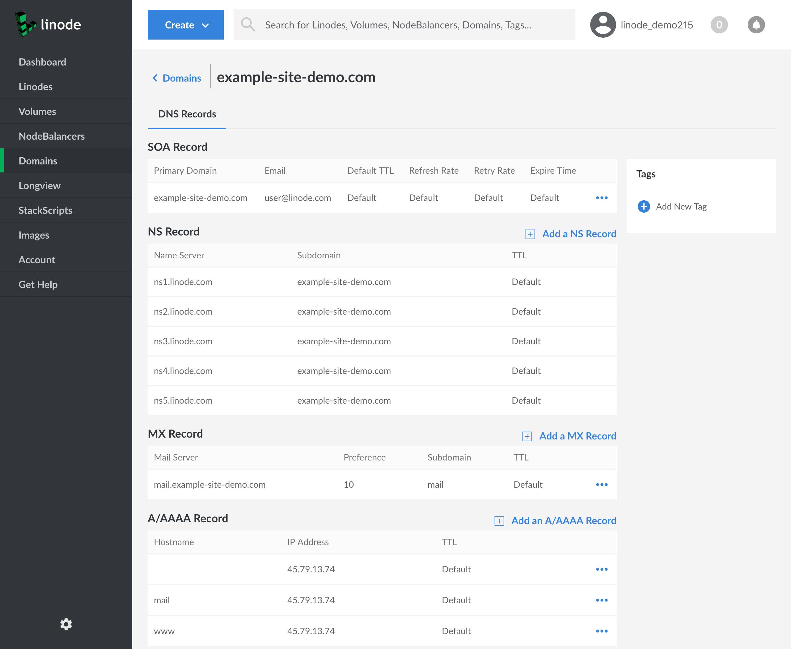 The SOA record is set to example-site-demo.com. The NS records are set to ns1.linode.com through ns5.linode.com, inclusive. The MX record is set to mail.example-site-demo.com. There are A records for [blank], which is the primary domain, and the mail and www subdomains. They are all set to the same IP.